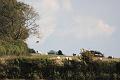 buzzard_1510097111