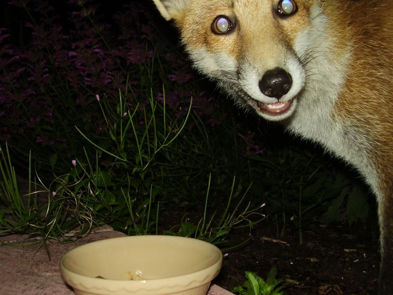 0408050308053.jpg