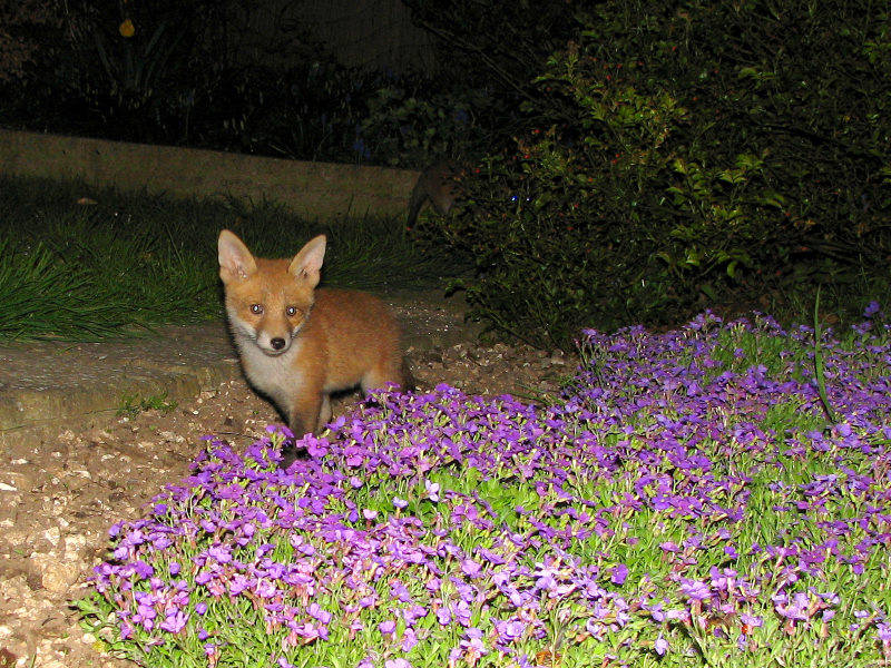 050506030506029.jpg