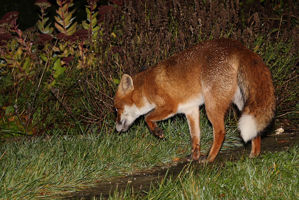 0511082610089929.jpg