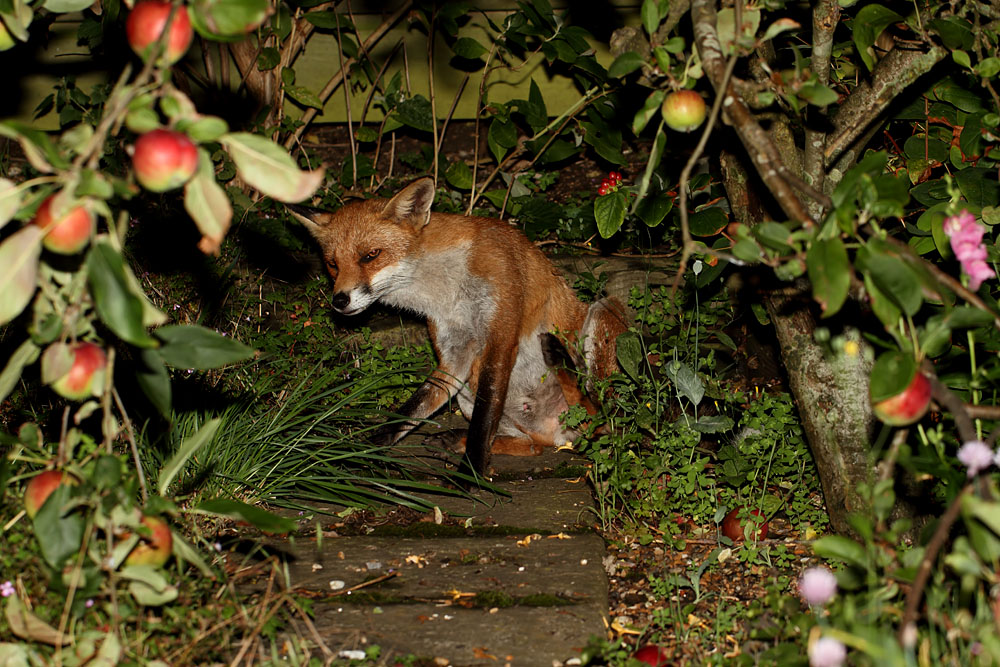 0908110408110044.jpg