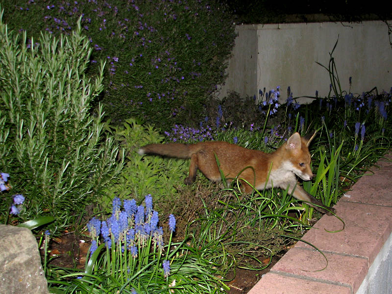 120506110506057.jpg