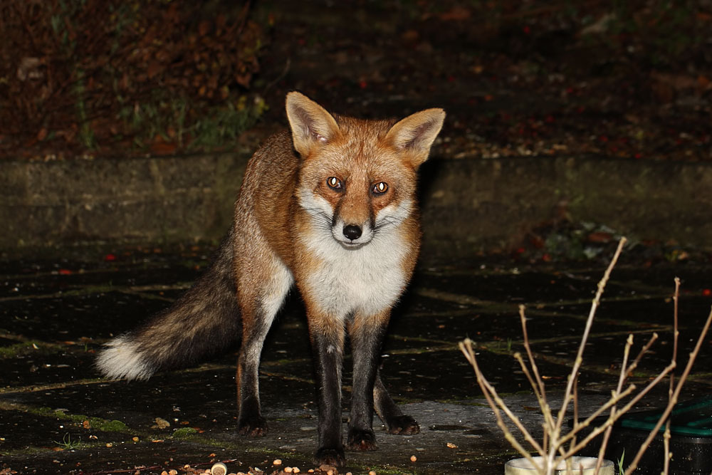 1412101012103013.jpg