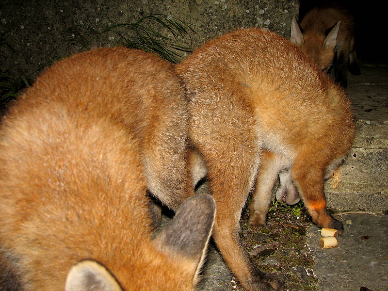 210506200506024.jpg