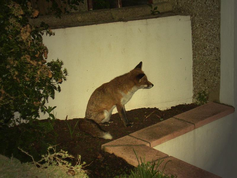 2109052009007.jpg