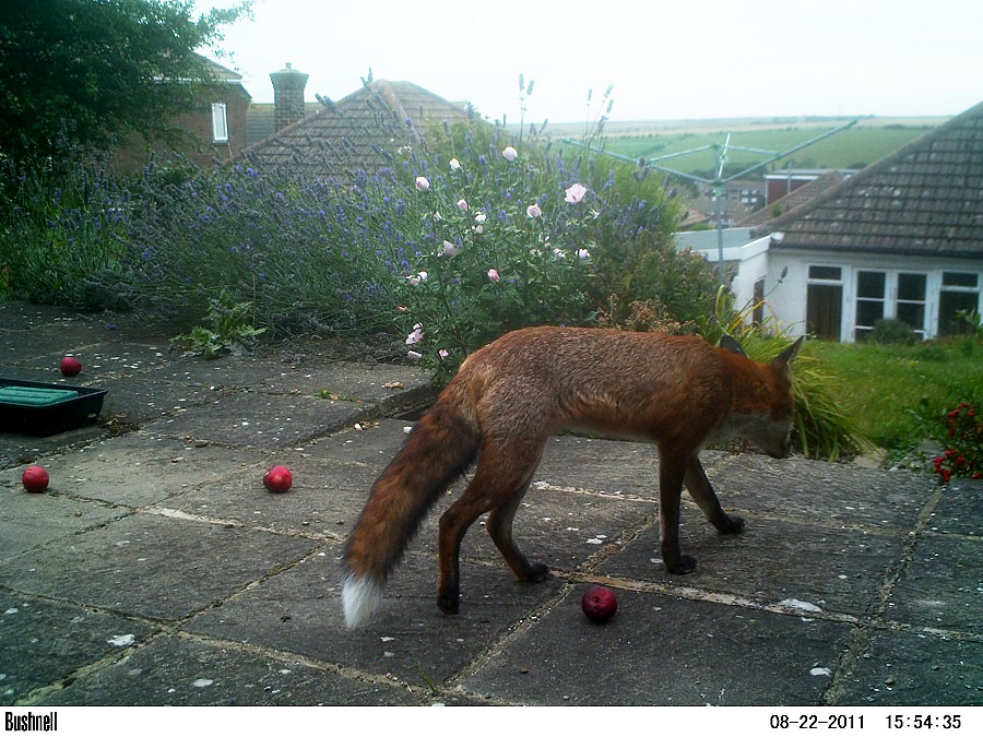 2308112108110148.jpg - M2E72L219-219R363B329