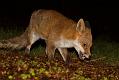 0103142802143596
