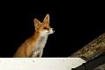 0111170111170705