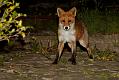 0710190710190383