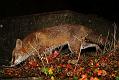 2101110701116223