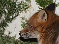 2501071801071998c