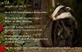280813stopthecull