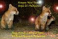newyear_2015