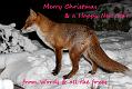 xmas2010_0801108600