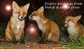xmas2013_2305137942