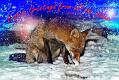 xmas_2019