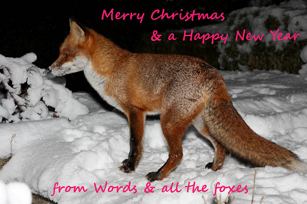 xmas2010_0801108600.jpg