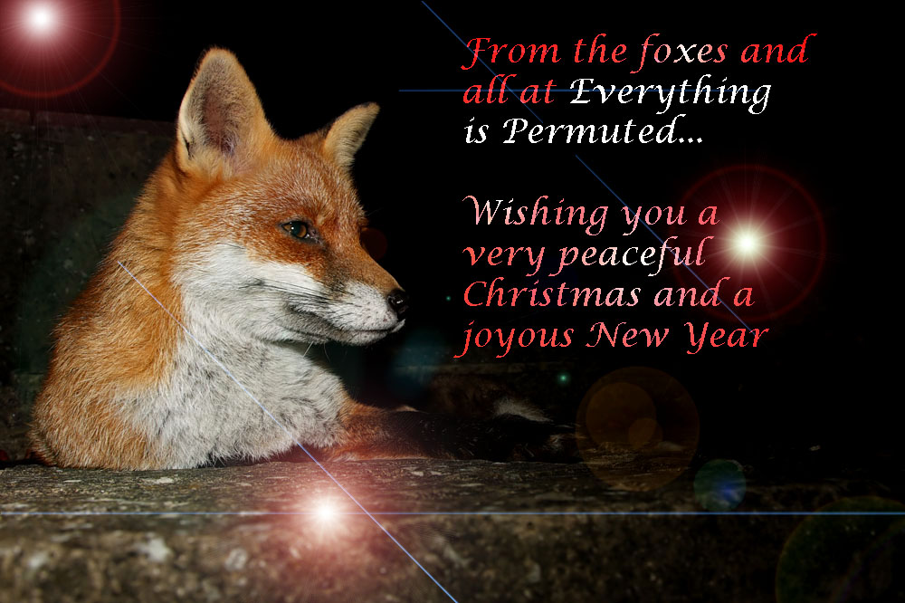 xmasfox2009_3010099433.jpg
