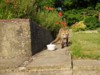 cub feeding time